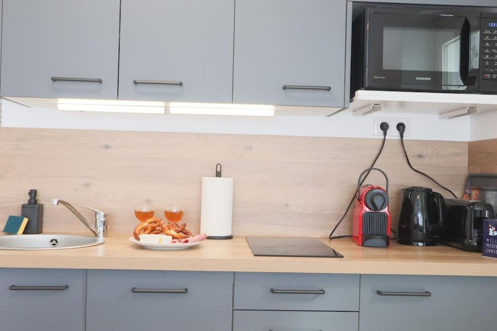 {Le Factory}, Proche Euroairport Apartment Сен-Луи Екстериор снимка
